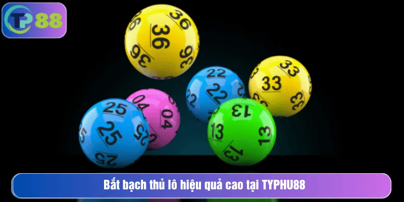 Bắt bạch thủ lô hiệu quả cao tại TYPHU88