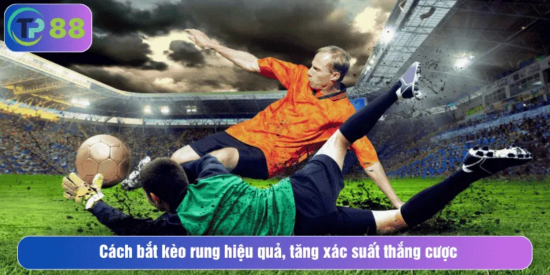 Cách bắt kèo rung hiệu quả, tăng xác suất thắng cược