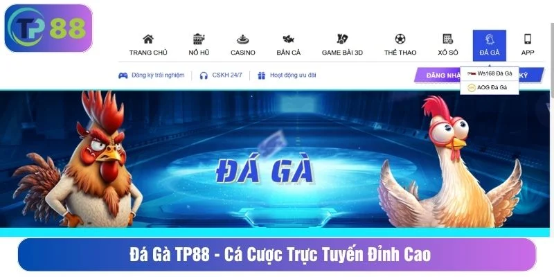 Game đá gà có nhiều hình thức khác nhau