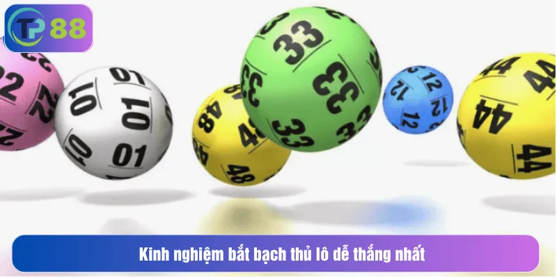 Kinh nghiệm bắt bạch thủ lô dễ thắng nhất