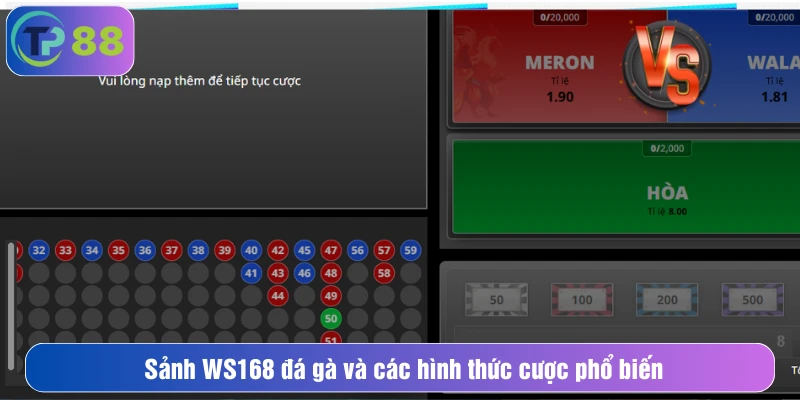 Sảnh WS168 đá gà và các hình thức cược phổ biến