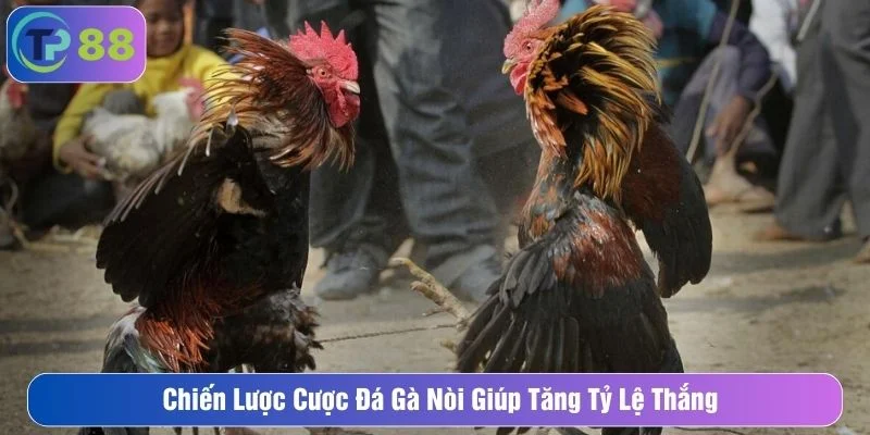 Tham khảo một số chiến thuật giúp tăng tỷ lệ thắng