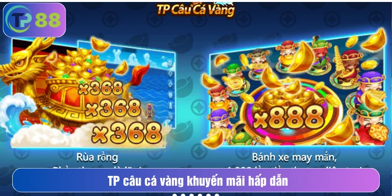 TP câu cá vàng khuyến mãi hấp dẫn