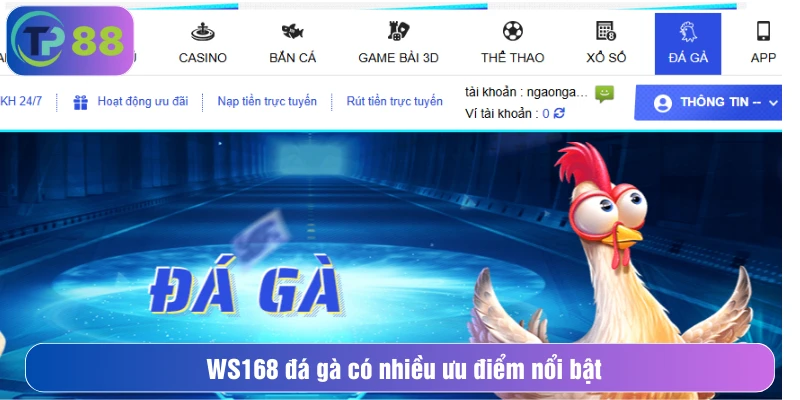 WS168 đá gà có nhiều ưu điểm nổi bật
