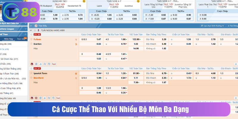 Cá cược thể thao với nhiều bộ môn đa dạng