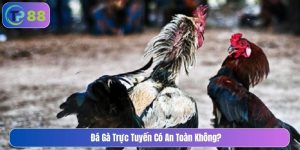 Đá gà trực tuyến có an toàn không