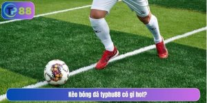 kèo bóng đá typhu88 có gì hot
