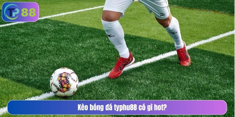 kèo bóng đá typhu88 có gì hot