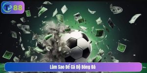Làm sao để cá độ bóng đá