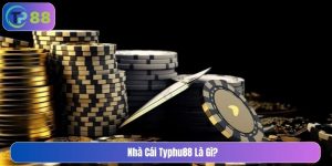 nhà cái typhu88 là gì