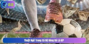 thuật ngữ trong cá độ bóng đá là gì