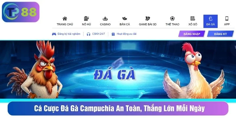Cá Cược Đá Gà Campuchia An Toàn, Thắng Lớn Mỗi Ngày