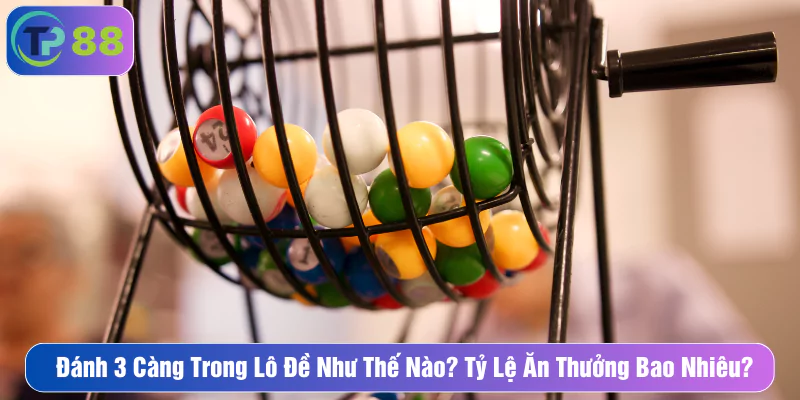 Đánh 3 Càng Trong Lô Đề Như Thế Nào? Tỷ Lệ Ăn Bao Nhiêu?