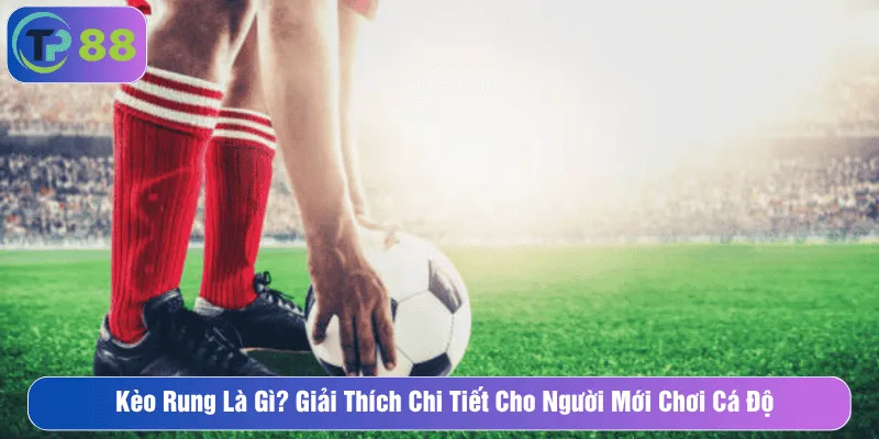 Kèo Rung Là Gì? Giải Thích Chi Tiết Cho Tân Thủ