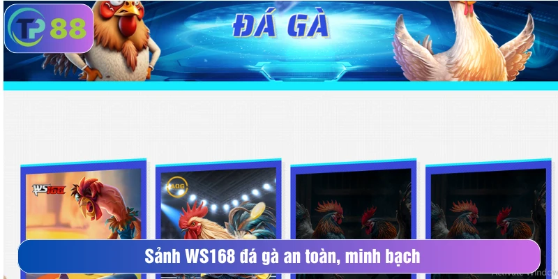 Sảnh WS168 đá gà