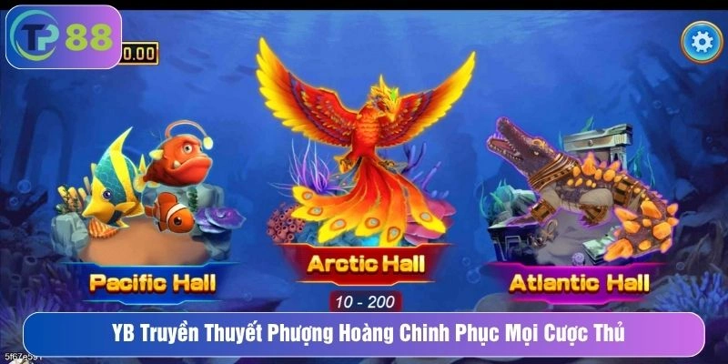 YB Truyền Thuyết Phượng Hoàng Chinh Phục Mọi Cược Thủ